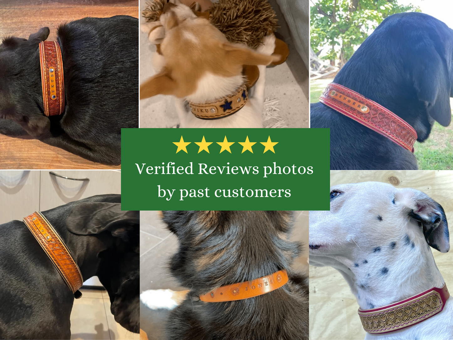 Nature inspired leather dog collars