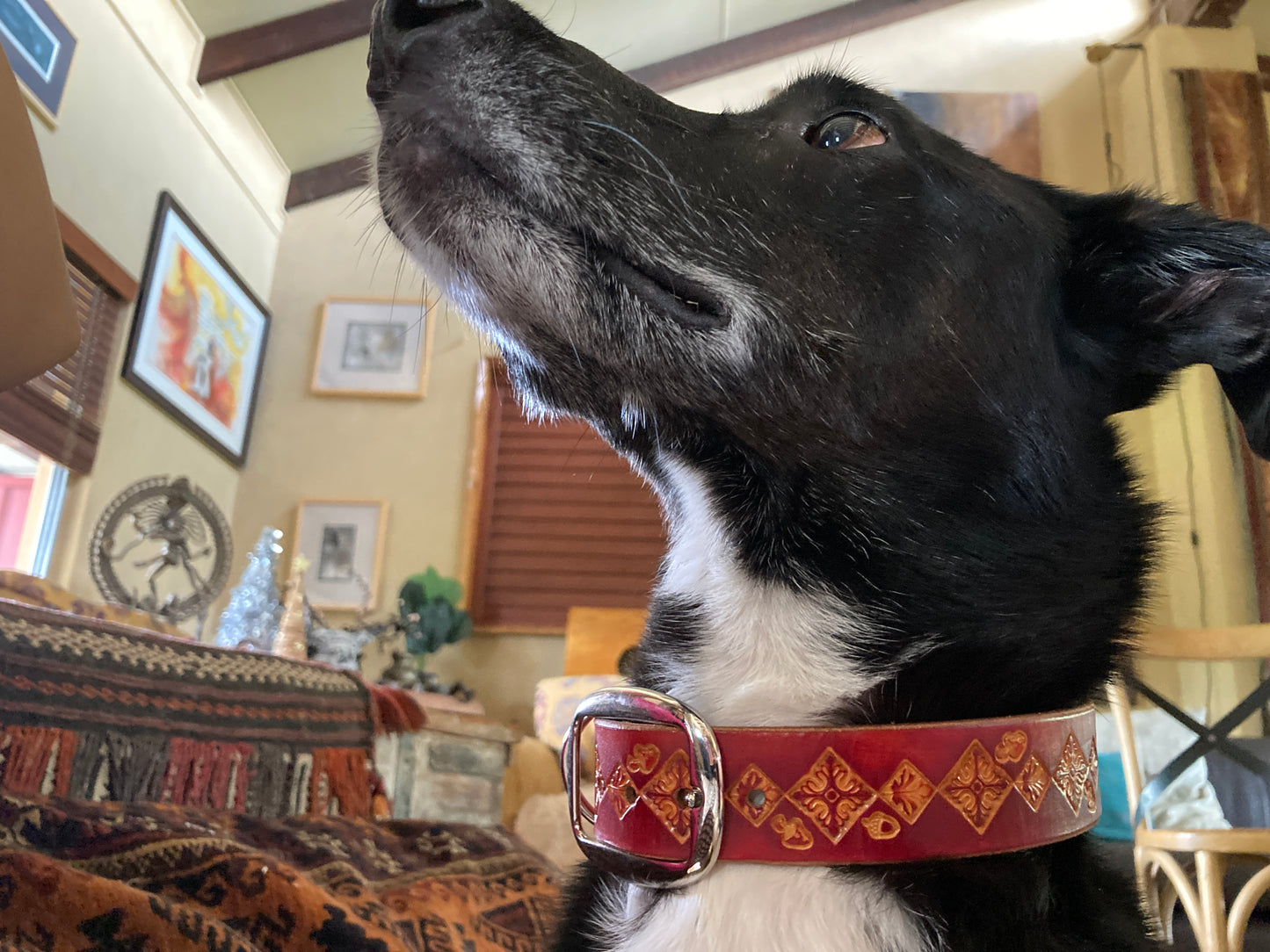 Nature inspired leather dog collars
