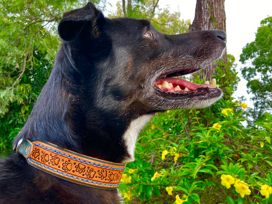 "Paw Print" Hand carved double layered dog collar - Medium - Large