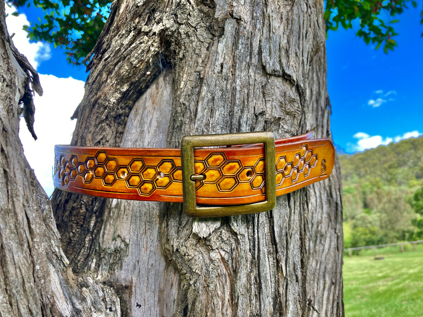 Wild explorer's custom leather belt - Beehive summer