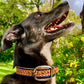 Hand embossed wide dog collar - Medium - Large